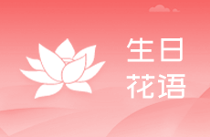 野蔷薇花语是什么，象征着爱情的浪漫与执着